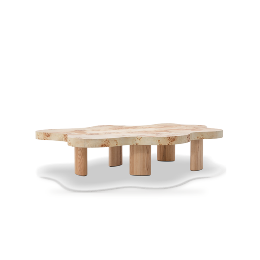KBH Ladybird Coffee Table from the Natural Wood collection, view 13