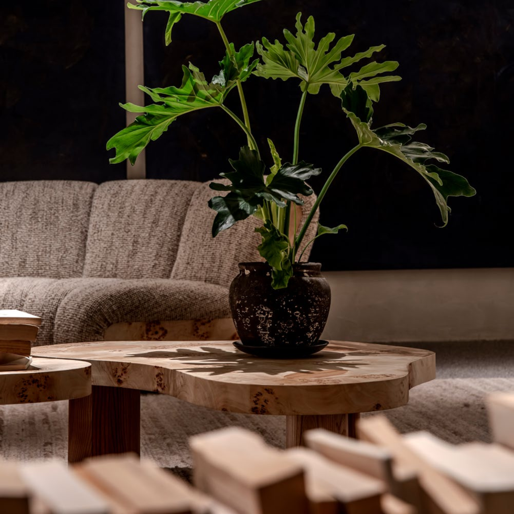KBH Three-Spot Ladybird Coffee Table from the Natural Wood collection, view 8